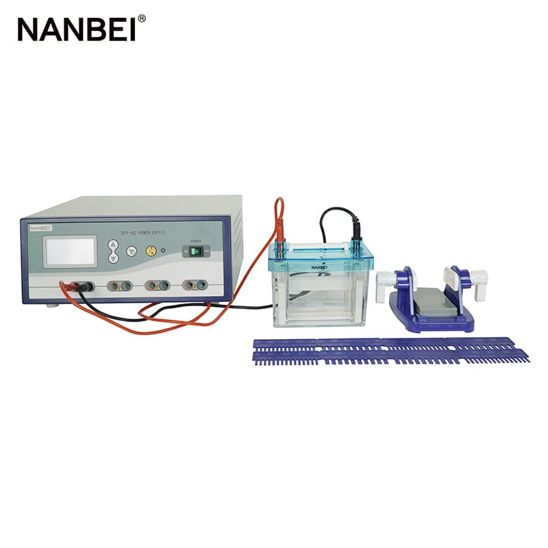 gel electrophoresis