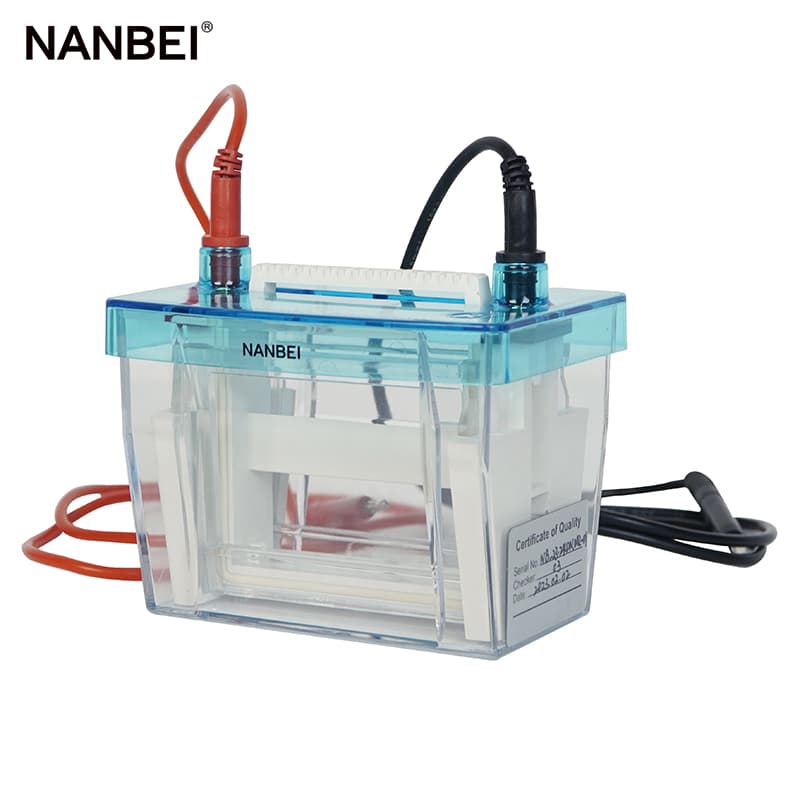 electrophoresis tank